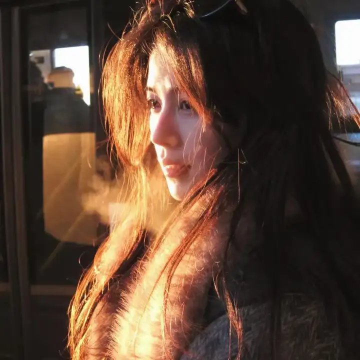痴情儿女封面