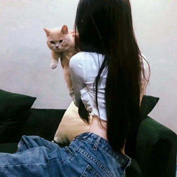 花田喜事国语封面