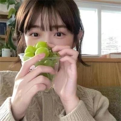 彩叶草之梦封面